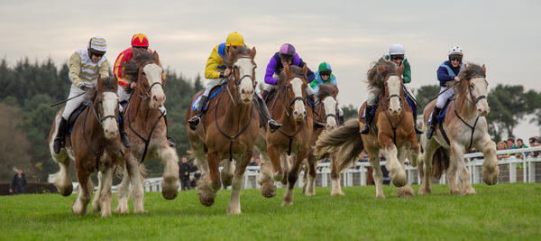 Annual Clydesdale Stakes - Exeter Racecourse